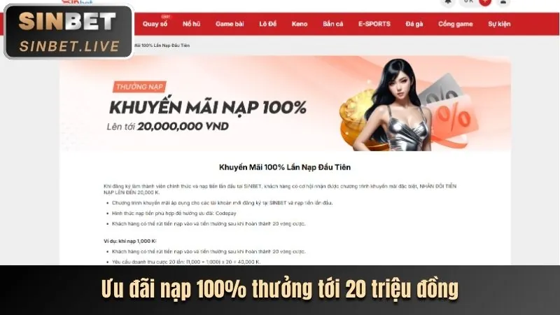 Biểu tượng hoàn trả tiền cược thể thao